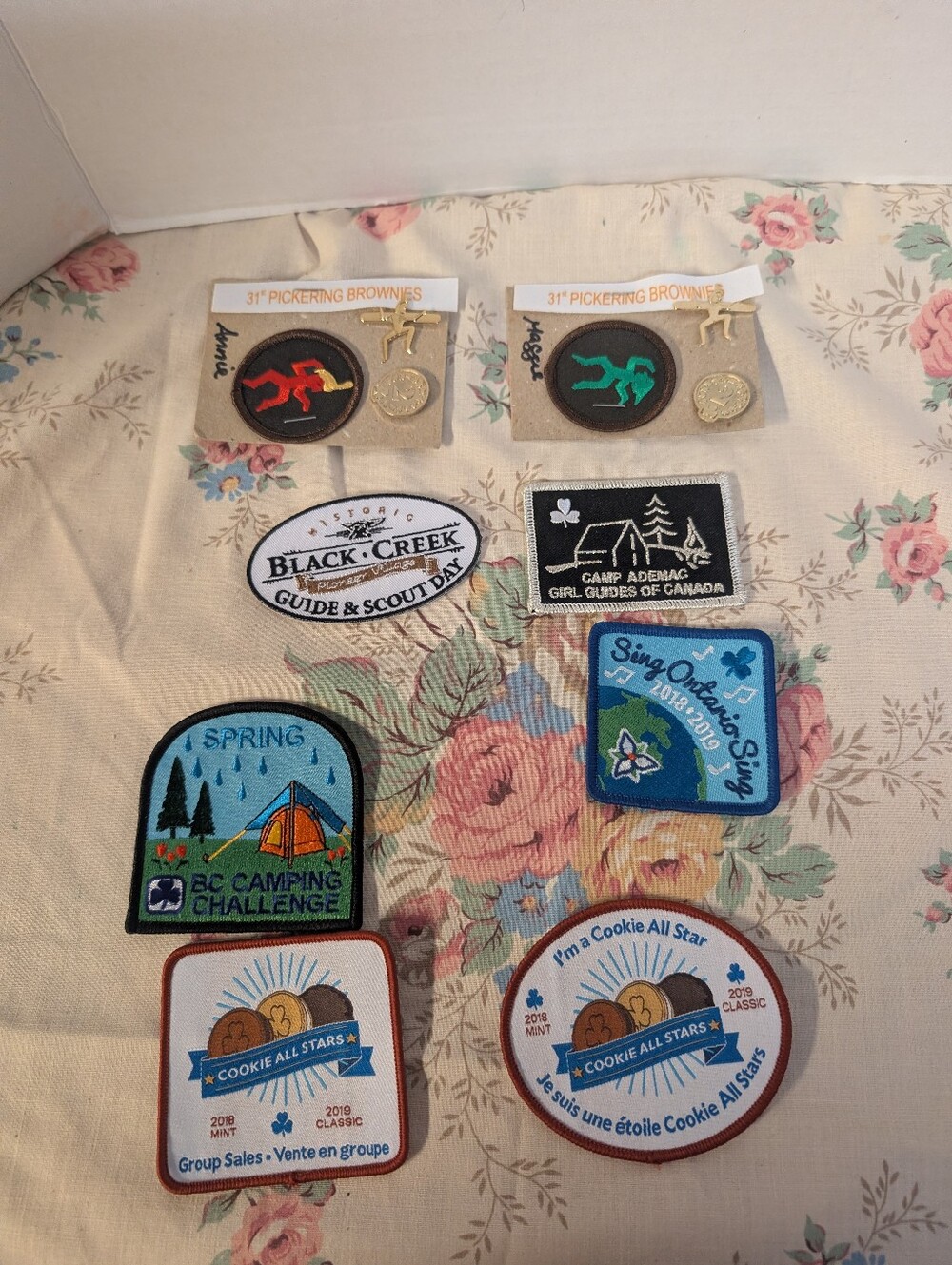 Vintage New Collection of Girl Guide Brownie Badges Pixie Pin Lot